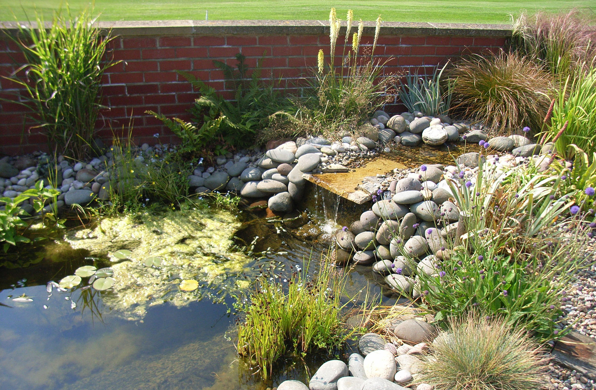 Garden Beds Planting Background Image