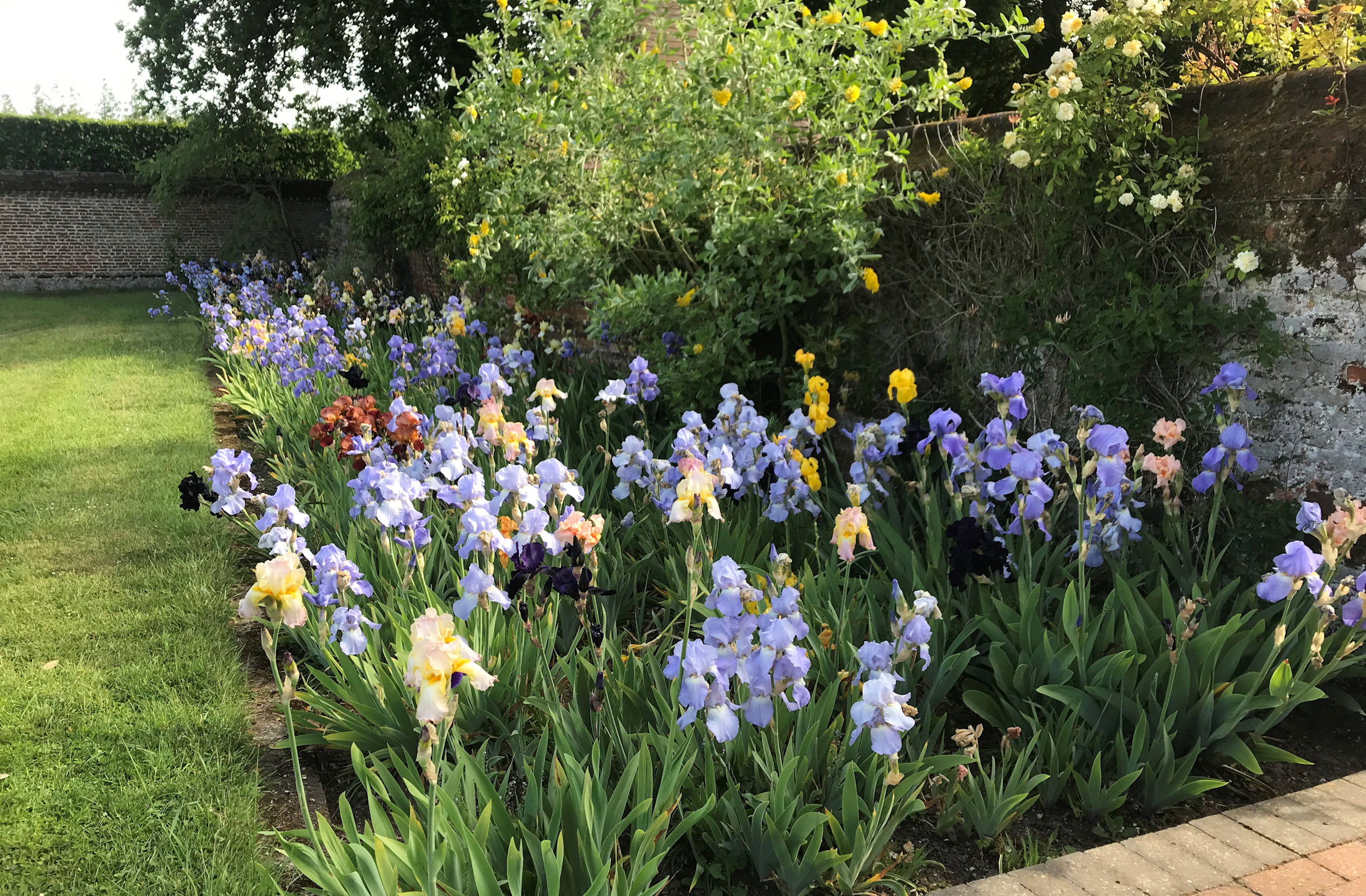 Garden Beds Planting Background Image