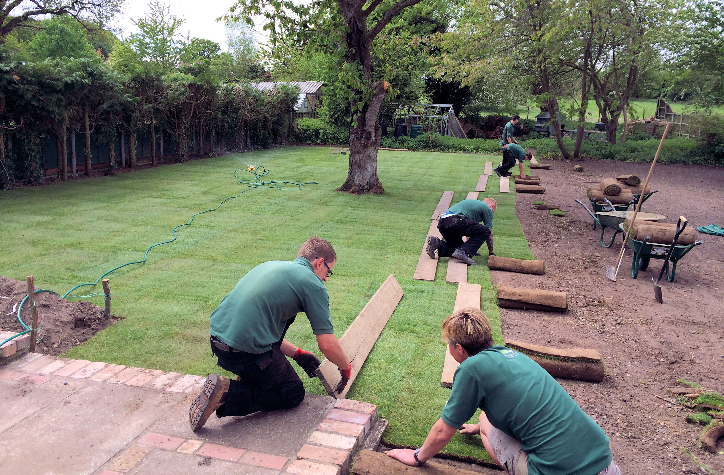 Lawns, Turfing and Seeding