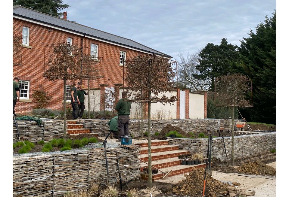 Terraced Pool Garden - Planting the Semi Mature Trees Terraced Pool Garden - Planting the Semi Mature Trees