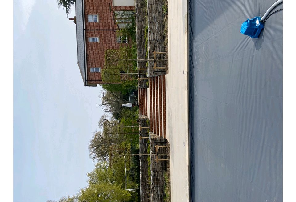 Terraced Pool Garden - Box Trees frame the walkway Terraced Pool Garden - Box Trees frame the walkway