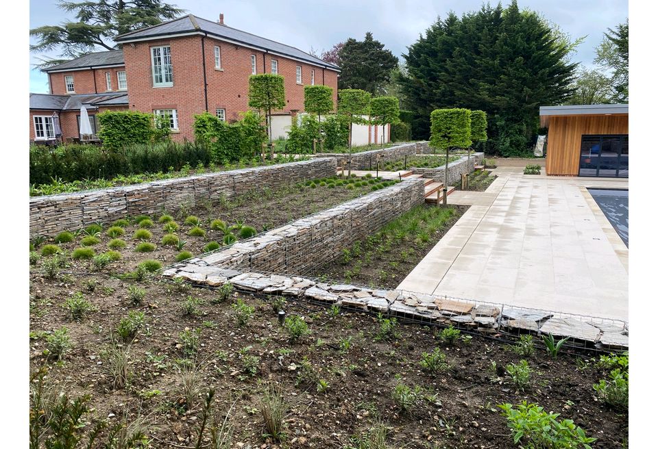 Terraced Pool Garden - The new Planting Scheme Terraced Pool Garden - The new Planting Scheme