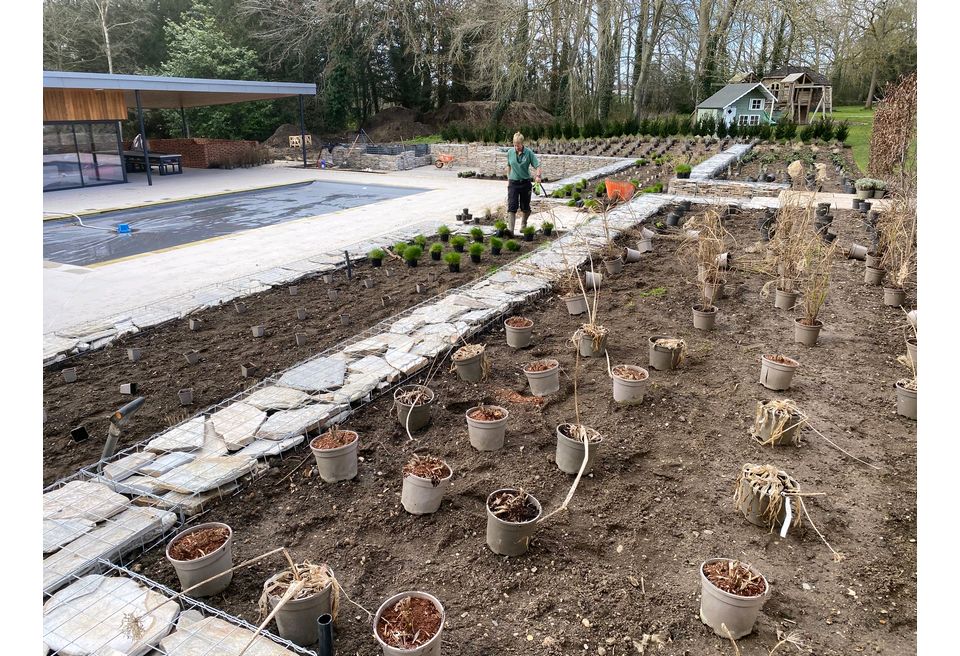 Terraced Pool Garden - Setting out the new Planting Scheme Terraced Pool Garden - Setting out the new Planting Scheme