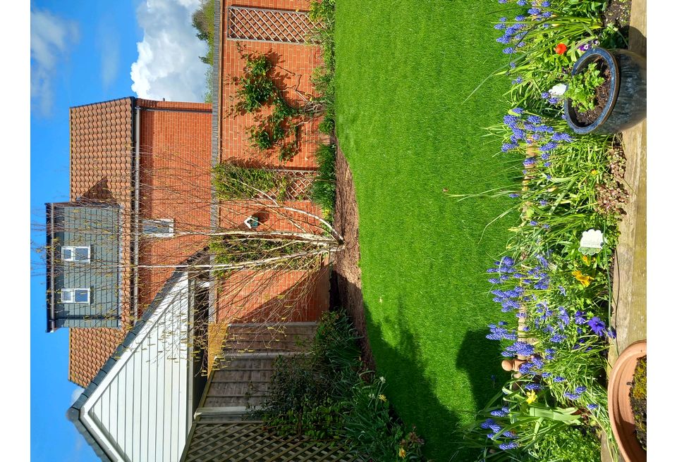 Tree Screening - the lawn borders were altered and new turf laid Tree Screening - the lawn borders were altered and new turf laid
